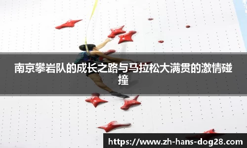 狗子28平台